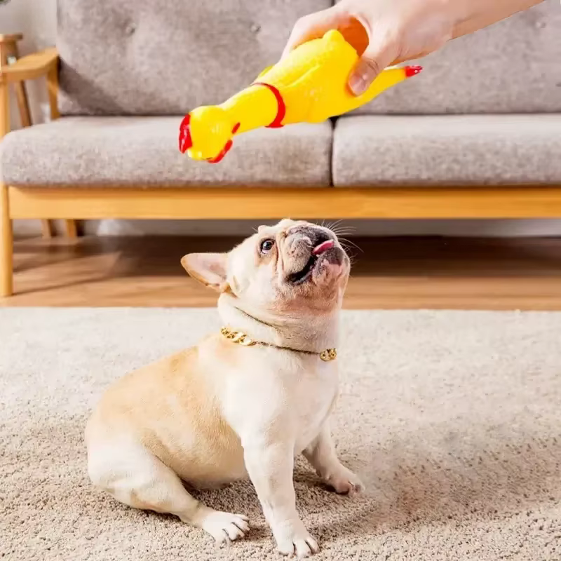 Hilarious Squeaky Chicken Toy